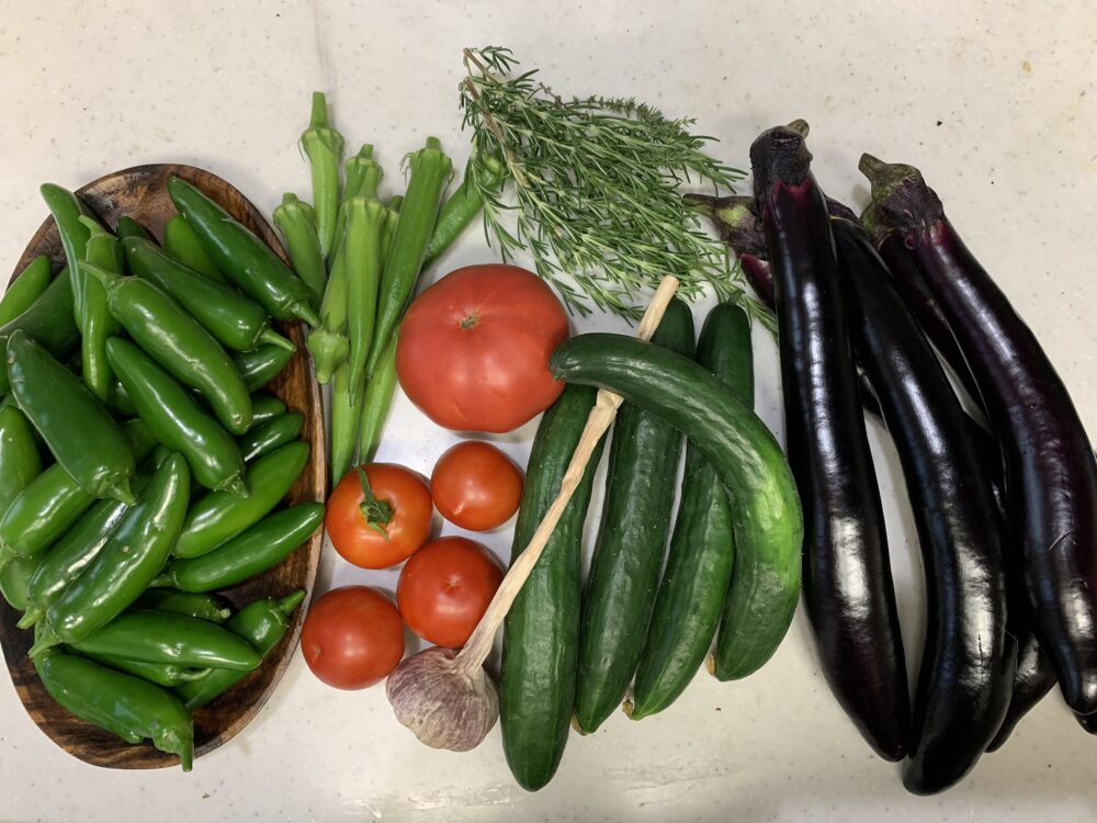 収穫したたくさんの夏野菜